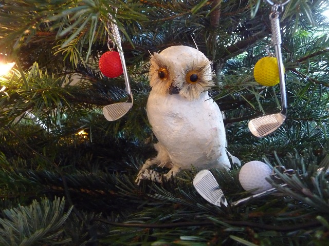 Weihnachtseule